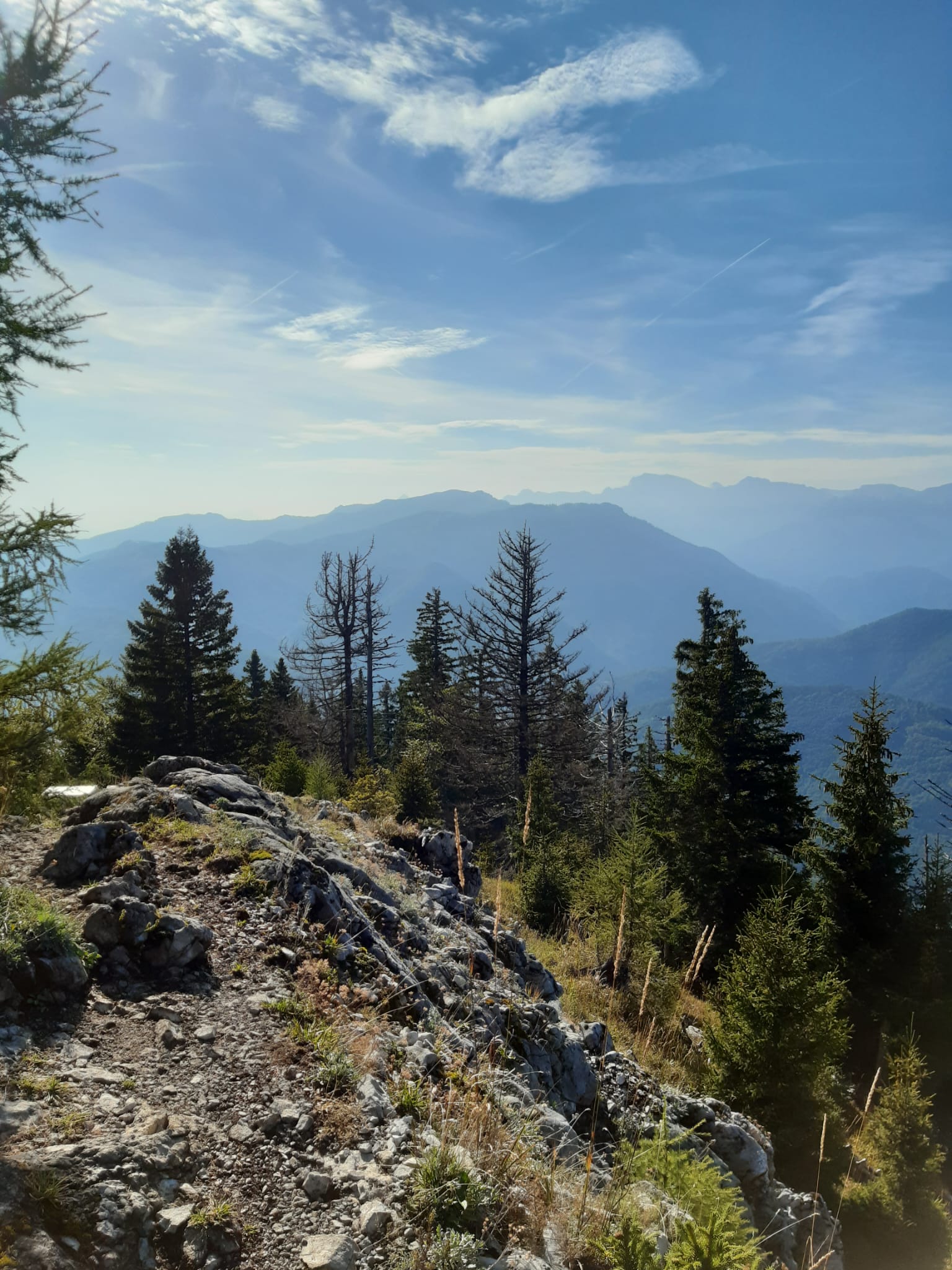 Zwillingskogel 1402m